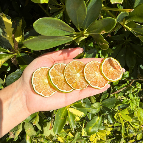 Dehydrated Lime Slices Natural Dried Limes for Bar & Decorative Styling
