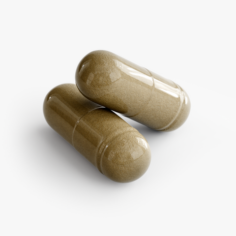Ginkgo Biloba + Ginseng Herbal Supplement 60 Capsules