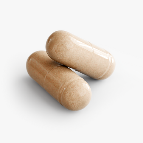 Mushroom Complex 10 X Potent Medicinal Mushroom Supplement