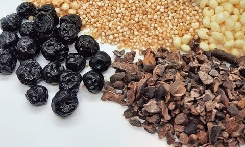 Dark Chocolate Blueberries Cacao Nibs Alegria Bites