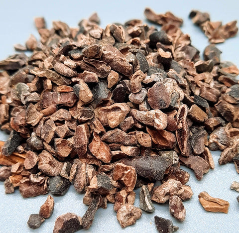 Dark Chocolate Blueberries Cacao Nibs Alegria Bites