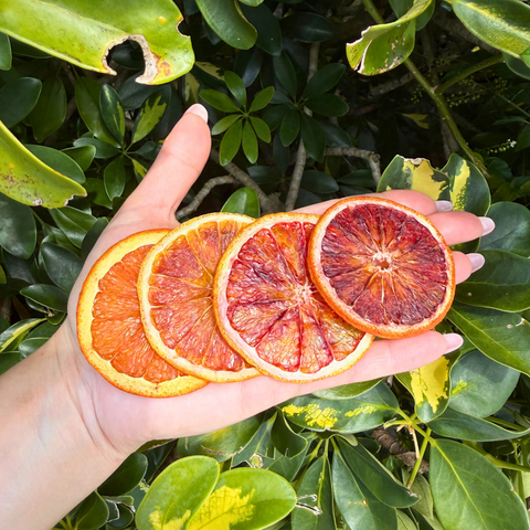 Dehydrated Blood Orange Slices Dried Blood Oranges for Bar & Decor