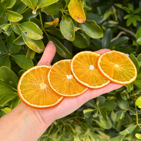Dehydrated Orange Slices Dried Oranges for Bar & Home Decor