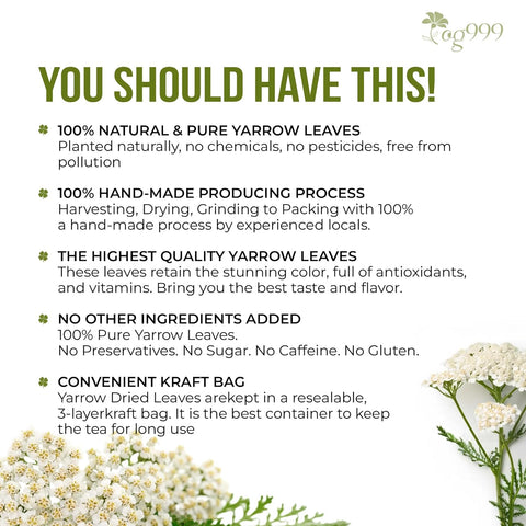 Premium Yarrow Tea Leaves | Naturally Aromatic, Freshly Packed Loose Leaf Yarrow