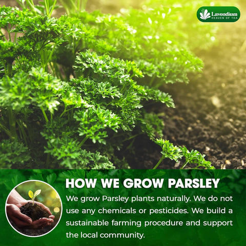 Premium Dried Parsley Leaves – 100% Pure, Non-GMO, Gluten-Free, Vegan – Aromatic Culinary Herb for Cooking, Garnish, and Seasoning