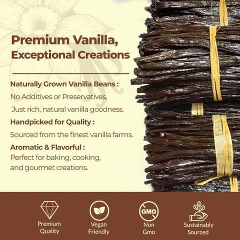 Vanilla Bean Pods Ugandan Bulk 1 lb Premium Vanilla Beans NY Vanilla