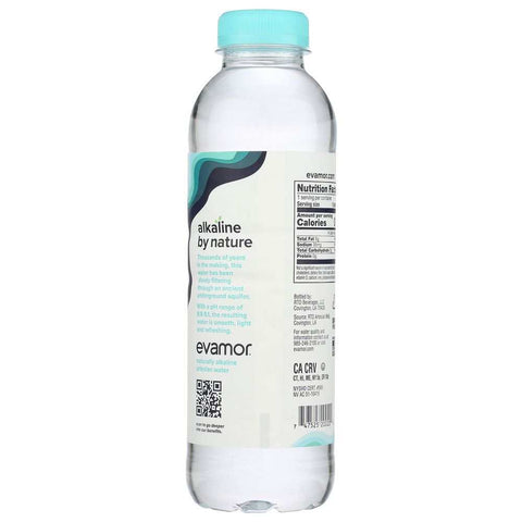 Natural Artesian Water 20 fl oz Bottle EVAMOR