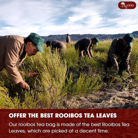 Premium Red Rooibos Tea Bags, 100% Natural & Pure from Rooibos Tea Leaves. Loose Leaf Rooibos Herbal Tea. Made with Natural Material Tea Bags. No Sugar, No Caffeine, No Gluten, Vegan.