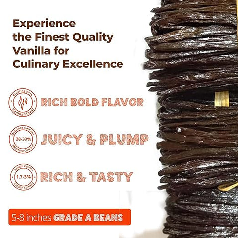 Premium Vanilla Beans Grade A Gourmet Vanilla Pods for Baking & Extract