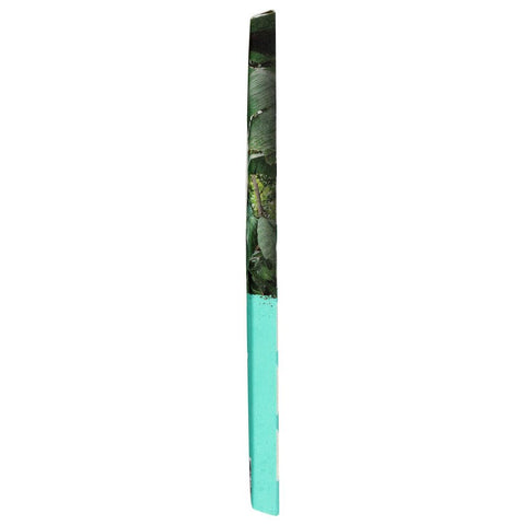 Organic Chocolate Dark Coconut Toffee 2.82 oz ALTER ECO