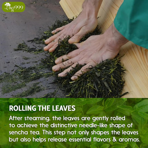 Premium Sencha Green Tea Bags, 100% Natural & Pure from Sencha Green Tea Leaves