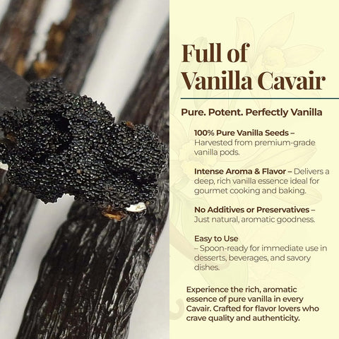 Vanilla Bean Pods Ugandan Bulk 1 lb Premium Vanilla Beans NY Vanilla