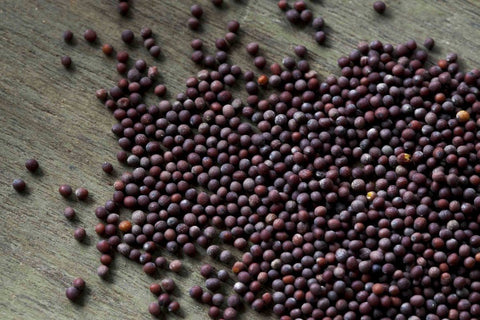 Brown Mustard Seed Brown Hot Spice Seed
