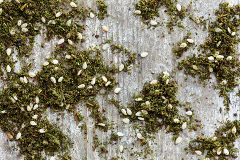Green Za'atar Aromatic Herb Spice Mix Shopify Collective