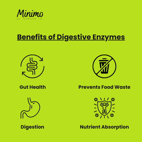 Digestive Enzyme Pro Blend 60 ct. Supplement Minimo Nutrition