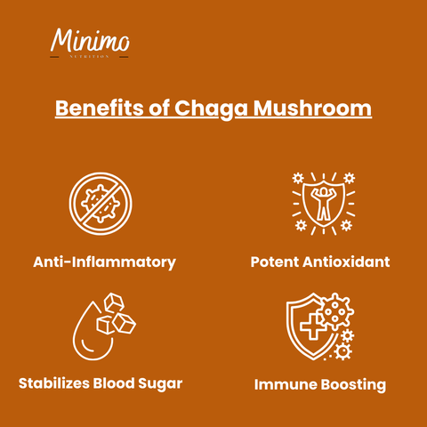 Organic Chaga Mushroom Immune Support Capsules 60 ct Minimo Nutrition