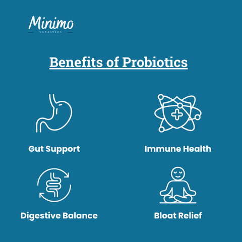 Probiotic 40 Billion with Prebiotics Digestive Supplement Minimo Nutrition