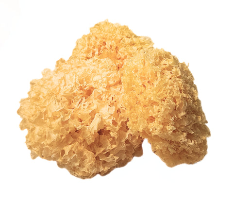 Tremella ND Grade Whole Mushroom Snow Ear Mushroom Tremella fuciformis