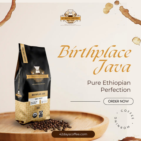 Birthplace Java - Premium Light Roast Organic Coffee