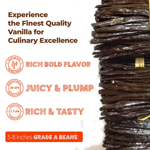 Wholesale Ugandan Vanilla Beans 1 lb Bulk Vanilla Beans