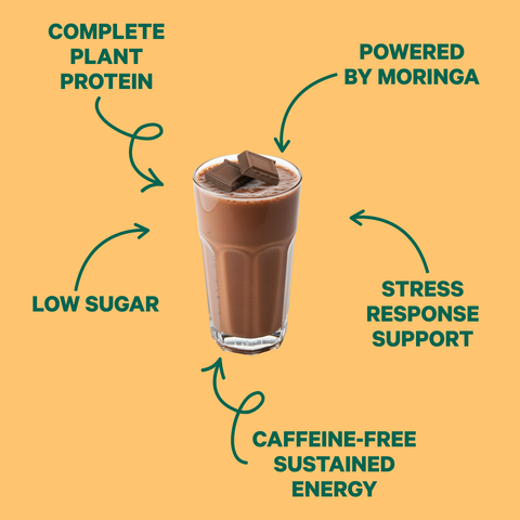 Energy Shake Chocolate Peanut Butter Plant Protein Shake