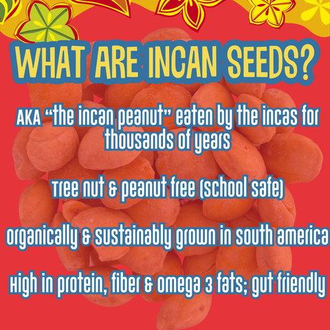 Cajun Flavor 5lb Incan Seeds Snack Bag Brass Roots