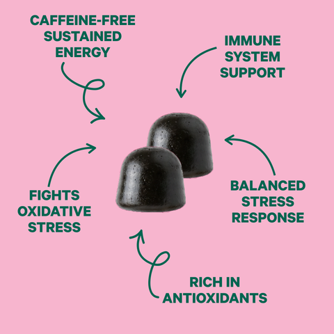 Chaga & Moringa Nutrient-Dense Gummies for Balance