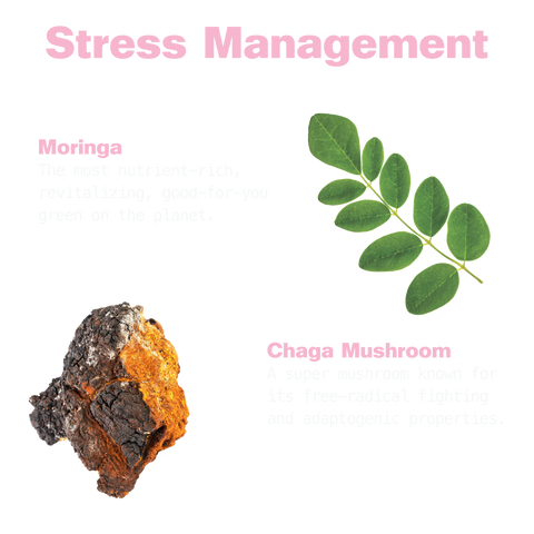 Chaga & Moringa Nutrient-Dense Gummies for Balance