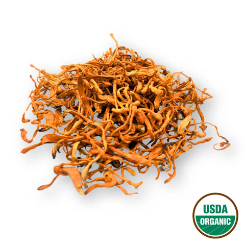 Cordyceps Organic Fruiting Body Mushroom Cordyceps militaris Chong Cao Hua
