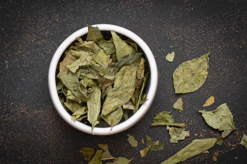 Curry Leaves Aromatic Staple South Indian Cooking