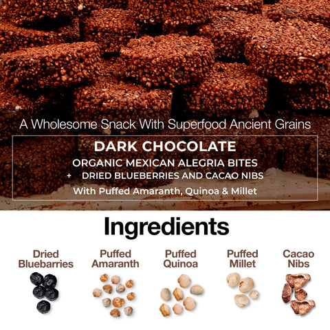 Dark Chocolate Blueberries Cacao Nibs Alegria Bites