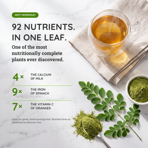 Organic Moringa Tea - Lemon & Ginger - Caffeine-Free Herbal Tea