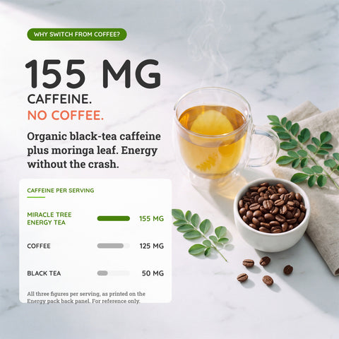 Organic Moringa Energy Tea - Chai Spice - Natural Coffee Alternative