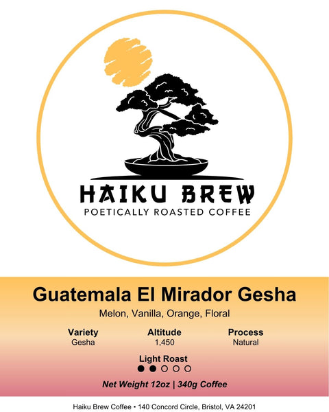 Guatemala El Mirador Gesha