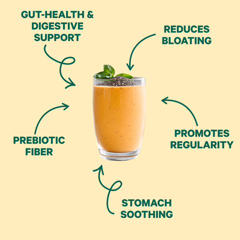 Gut Bliss Digestive Support Powder with Moringa and Ginger