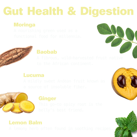 Gut Bliss Digestive Support Powder with Moringa and Ginger