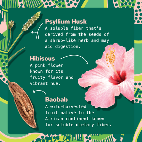 Hibiscus Berry Fiber Latte Gut Health Superfood Kuli Kuli