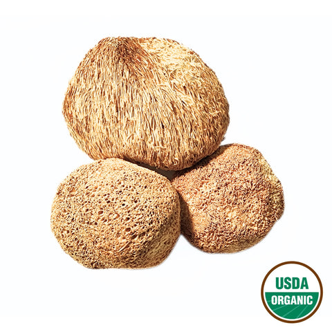 Lion's Mane Mushroom Organic Grade Hou Tou Gu Hericium erinaceus