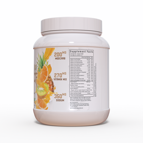 Intra-Workout Hydration & Fuel Endurance Formula STAY READY