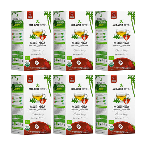 Organic Moringa Tea - Strawberry - Caffeine-Free Herbal Tea