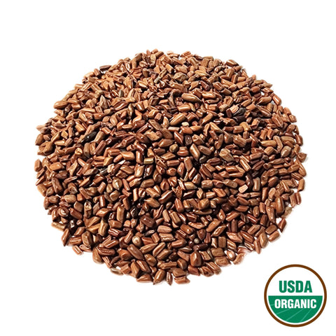 Cassia Seed Dry-Fried Organic Grade Botanical Cassia obtusifolia Semen