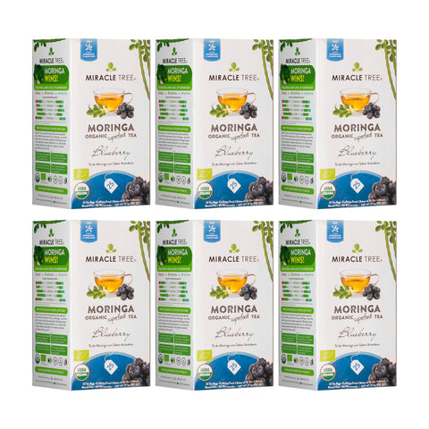 Organic Moringa Tea - Blueberry - Caffeine-Free Herbal Tea