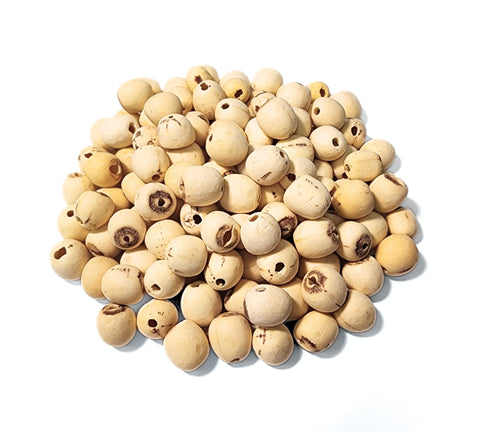 Lotus Seed ND Grade Nelumbinis nucifera Semen Lian Zi