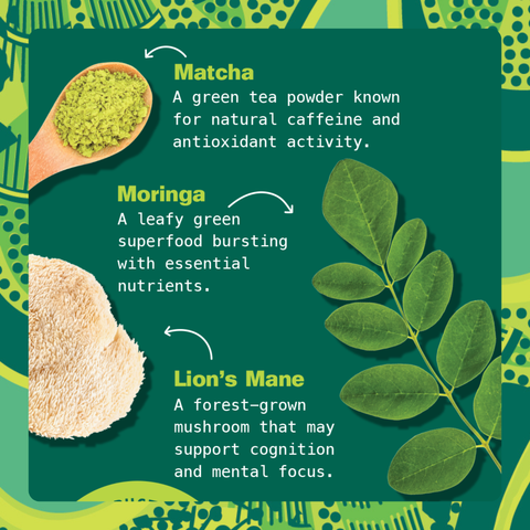 Matcha Moringa Superfood Latte for Energy & Focus Kuli Kuli