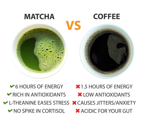 Matcha Mushroom Blend Organic Ceremonial Grade 30 Servings ReviTEAlize