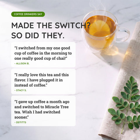 Organic Moringa Energy Tea - Orange Passionfruit - Natural Coffee Alternative