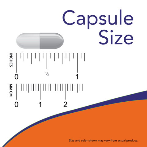 Probiotic-10 25 Billion CFU