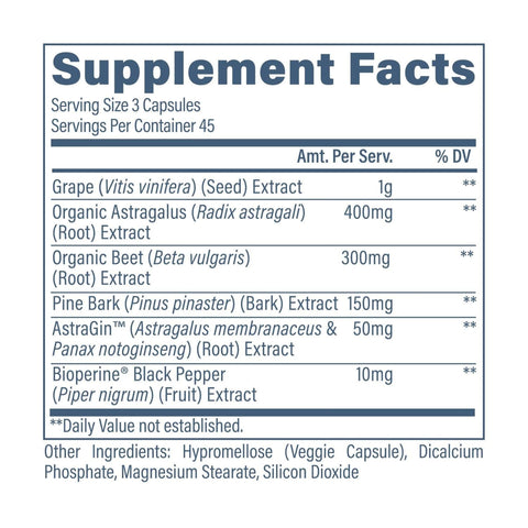 Revive Kidney Support Supplement