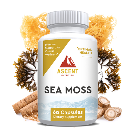 Organic Sea Moss 500 mg Capsules Dietary Supplement Ascent Nutrition