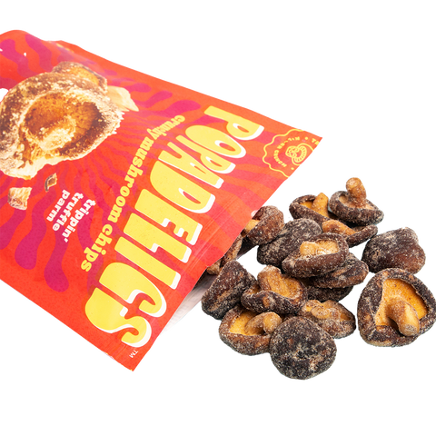 Popadelics Crunchy Mushroom Chips — Variety Pack | All 3 Flavors | 6-Pack